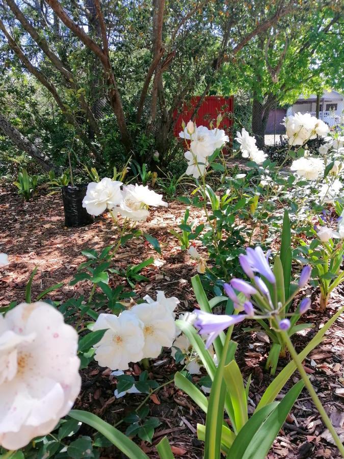The Red Gate Suite For Garden Route Tranquility George Esterno foto