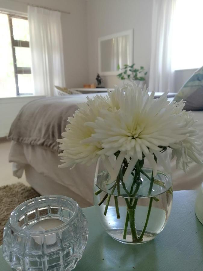 The Red Gate Suite For Garden Route Tranquility George Esterno foto